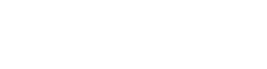 Logo Nuevo Ecuador